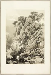 Ulme und Tannen, aus Der Park und der Wald