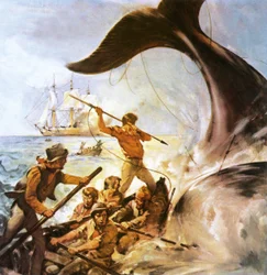 Peter der Walfänger