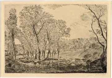 Der Teich mit den Pappeln