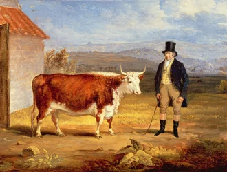 Mr. James Hodges und seine zweijährige Hereford-Färse, ca. 1843