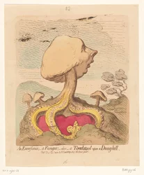 Karikatur auf William Pitt den Jüngeren, 1791