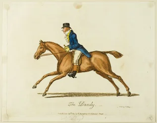 Der Dandy
