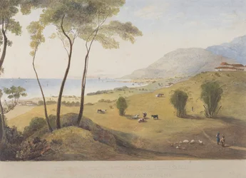 Lyssons Estate, St. Thomas im Osten, Jamaika