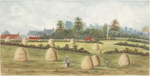 Chirton von Meadowell Farm