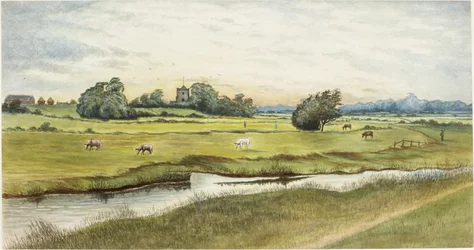 Ryton Meadows