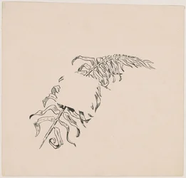 Zweig