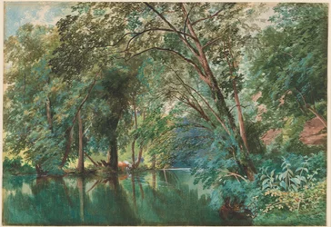 Bäume über dem Fluss Frome bei Stapleton