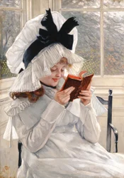 Ein Buch lesen, 1872-73