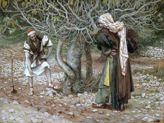 Der unfruchtbare Feigenbaum, Illustration für Das Leben Christi