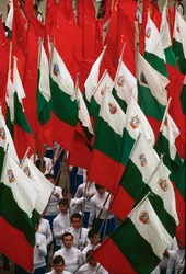 Prozession bulgarischer Flaggen während der Feierlichkeiten zum Nationalfeiertag. Sofia, Bulgarien.