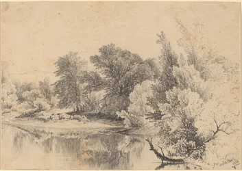 Teichrand