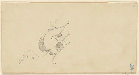 Schmetterling