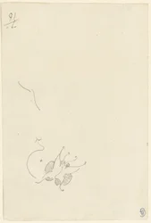 Schmetterling