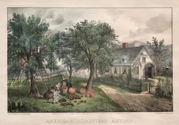 Amerikanisches Heim, Herbst, 1869