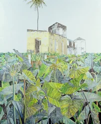 Ruine in einem Sumpf, Haiti, 1971