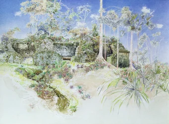 Ruine eines Tempels, Tikal, Guatemala, 1984