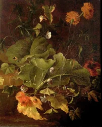 Ampferblätter und andere Blumen