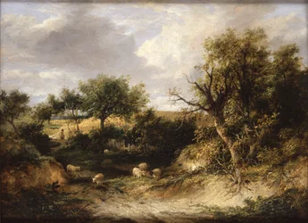 Waldlandschaft