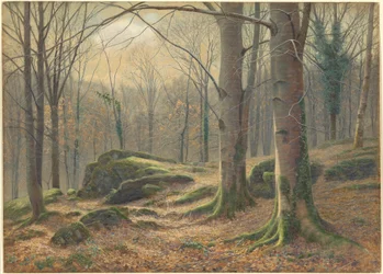 Ein Wintermorgen, Raureif schmilzt