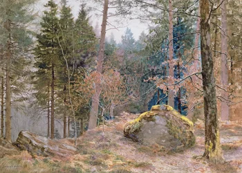 In einem walisischen Wald, Winter