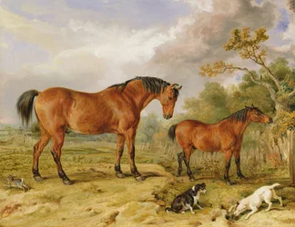 Porträt von Reformer, Blucher, Tory und Crib, das Eigentum von Rowland Alston, Esq.