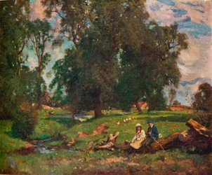 Die Wiese, 20. Jahrhundert