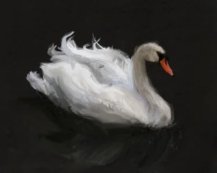 Anmutiger Weißer Schwan