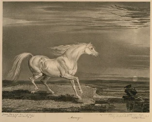 Marengo, aus Berühmte Pferde, eine Serie von vierzehn Rennbildern, veröffentlicht vom Künstler, 1823-24
