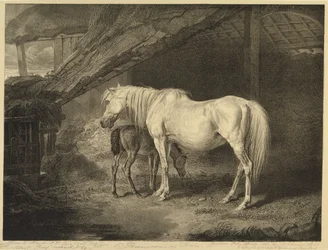 Primel und Fohlen, aus Berühmte Pferde, eine Serie von vierzehn Rennbildern, veröffentlicht vom Künstler, 1823-24