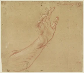 Studie eines rechten Arms