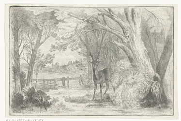 Parklandschaft mit Hirsch