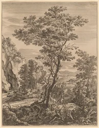 Der große Baum