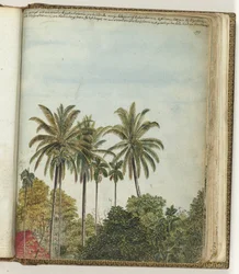 Blick aus dem Fenster