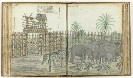 Elefantenspiel- und Mahlkraal