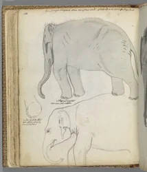 Perspektive von drei Figuren