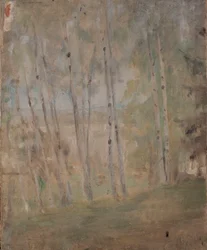Mariino - Birken