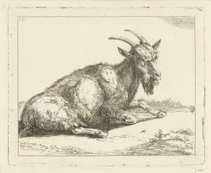 Ziege