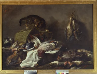 Stillleben mit einer Katze