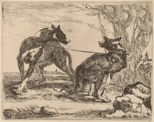 Zwei Windhunde, an der Leine und einander zugewandt