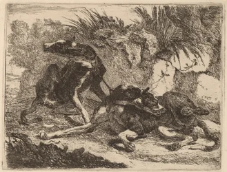 Zwei Windhunde, angeleint und in entgegengesetzte Richtungen blickend