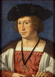 Floris van Egmond, Graf von Buren, 1536