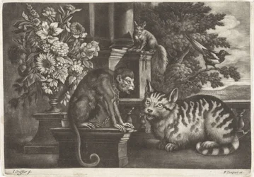 Affe, Katze, Eichhörnchen und Elster