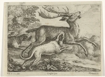 Jagd auf einen Hirsch