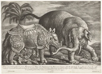 Elefant und Nashorn