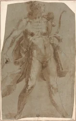 Apollo