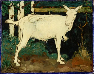 Ziege