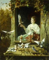 Vögel füttern