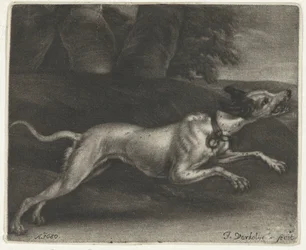 Rennender Hund
