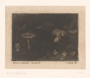 Pilze
