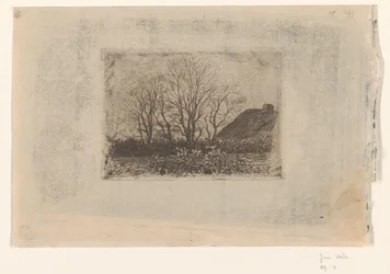 Wiese mit Bäumen, Ewijkshoeve